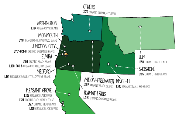 Regionally Grown Legumes