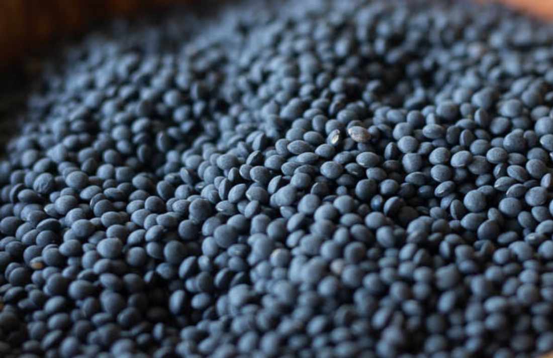 Recipe: Lentils Folded Into Yogurt, Spinach and Basil
