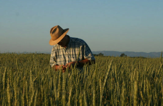 Be My Organic Farmer: A Valentine