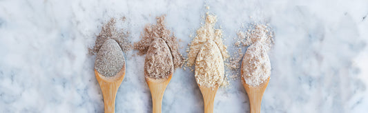 Answers to Your Most Burning Questions About Flour: A Hummingbird Flour Guide