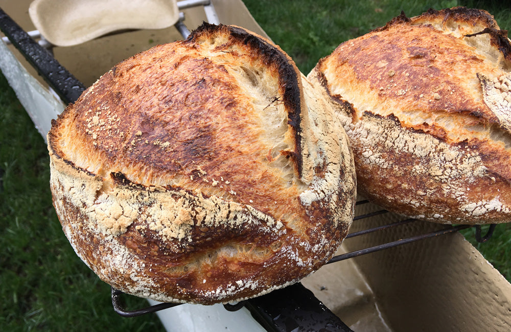 Sourdough Bread Ramblings