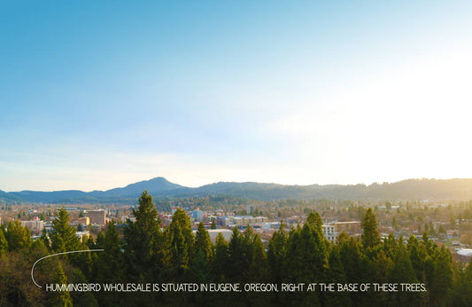 Sustainability at Hummingbird