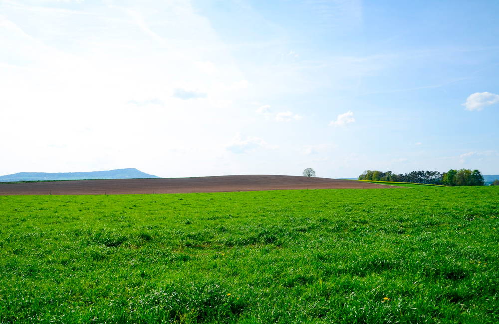 Regenerative Organic Certification