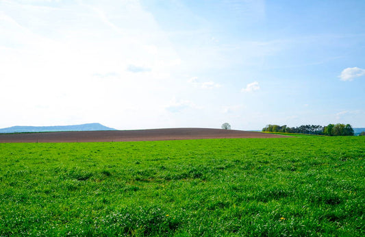 Regenerative Organic Certification