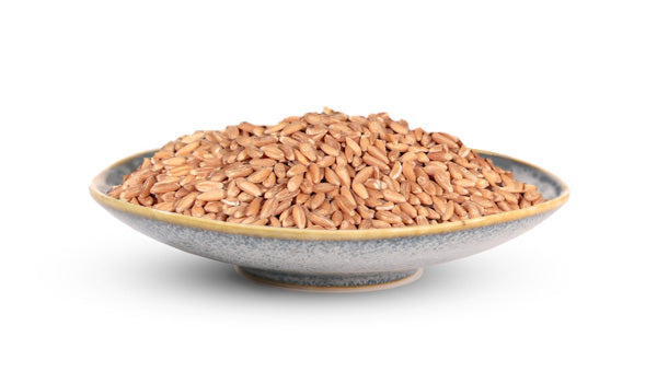 Hulless Spelt Berries