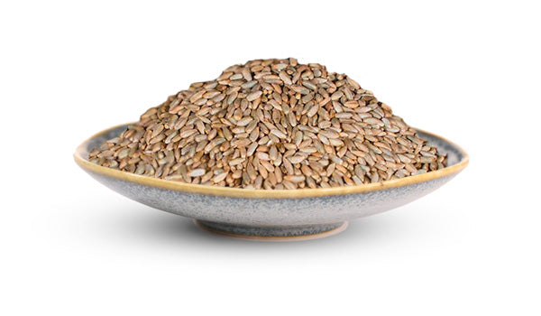 Rye Berries