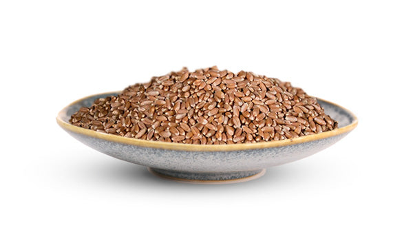 Wheat Berries, Hard Red, Camas Country Mill