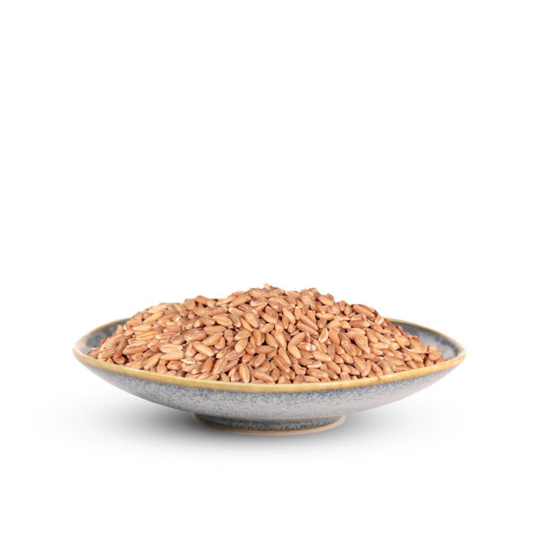 Hulless Spelt Berries