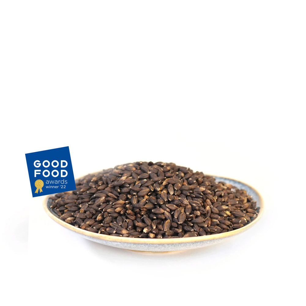 Tibetan Black Barley, Hulless