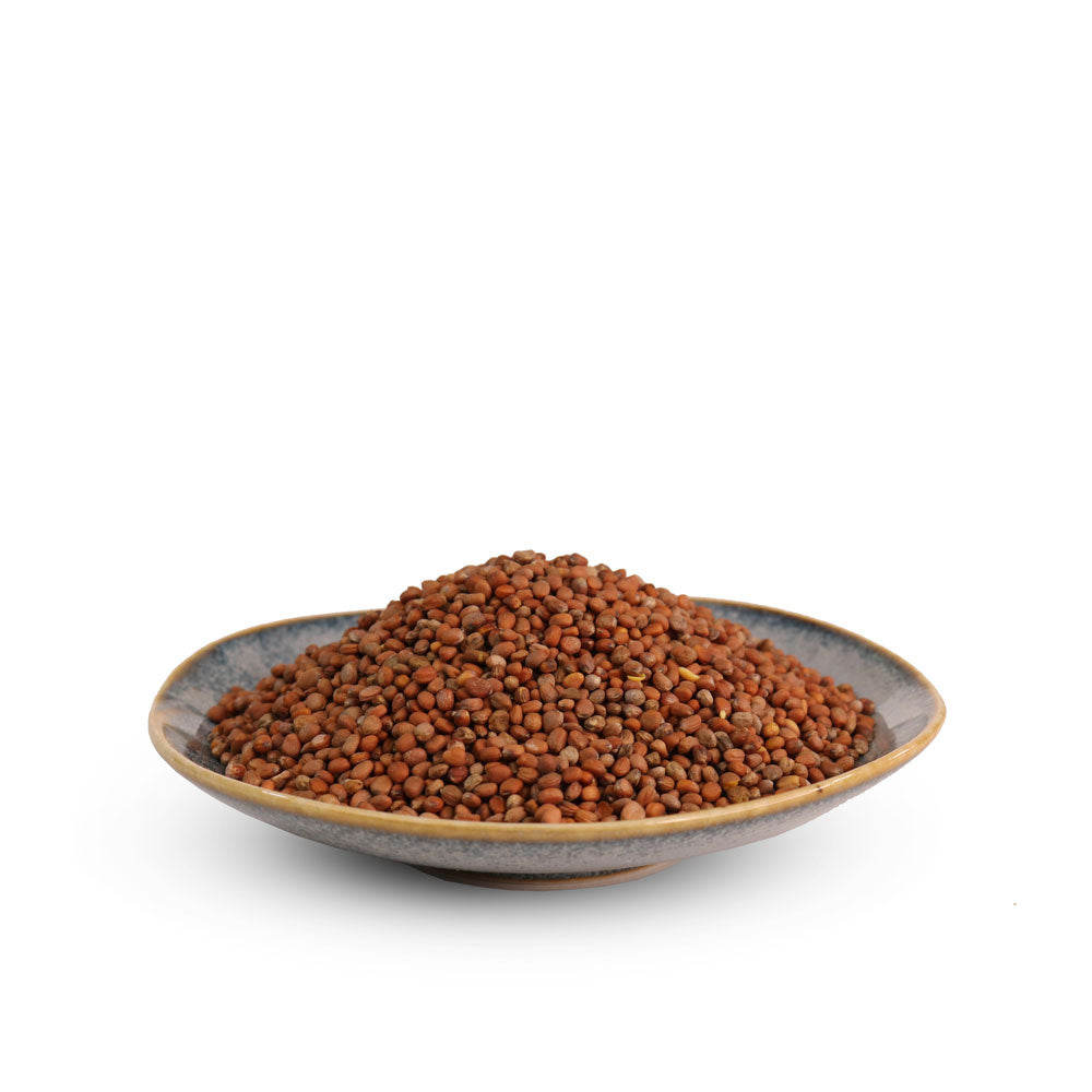 Radish Sprouting Seed
