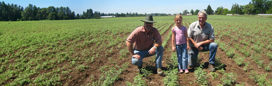 Why Organic Certification Matters So Much
