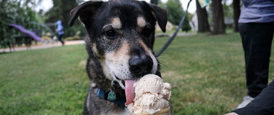Organic Dog-Friendly Ice Cream - Peanut Butter and Bananas