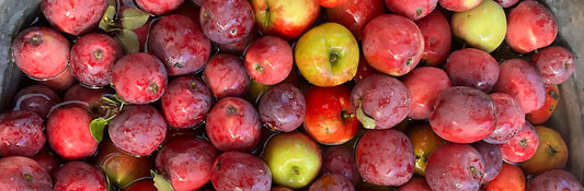 Gratitude Turns What We Have into Enough