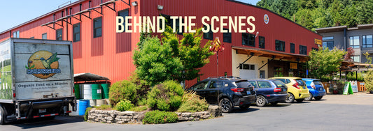 Behind the scenes at Hummingbird!