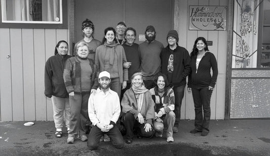 History of Hummingbird Wholesale