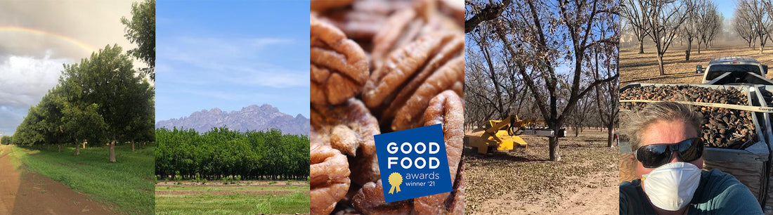 Pecans, Magic in the Making