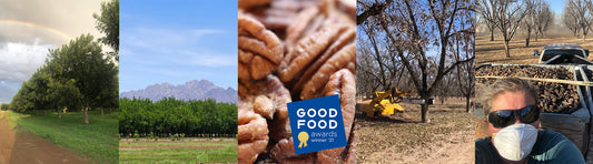 Pecans, Magic in the Making