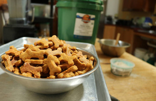 Recipe: Peanut Butter & Sweet Potato Dog Treats
