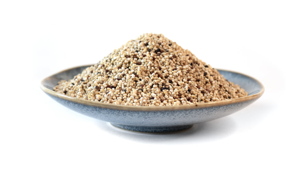 Quinoa, Rainbow, Wild Rose Farm