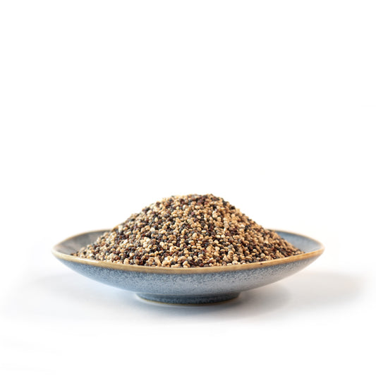 Quinoa, Rainbow, Wild Rose Farm