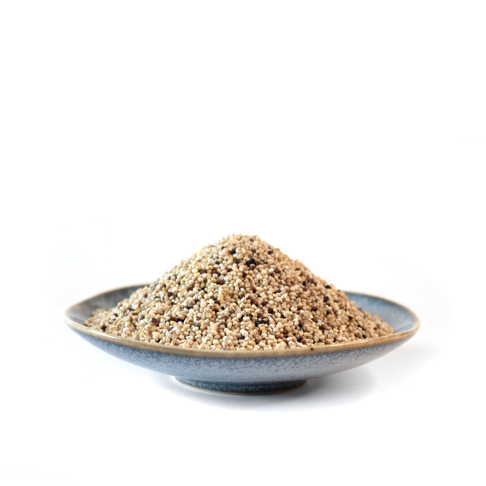 Quinoa, Rainbow, Wild Rose Farm