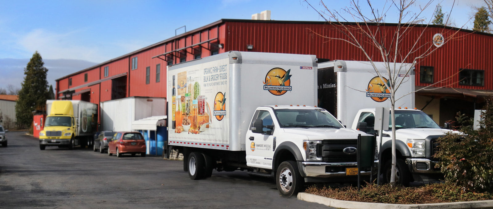 Wholesale Pickup Trucks: A Comprehensive Guide to Bulk Acquisition