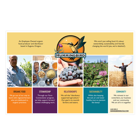 Why Hummingbird Poster
